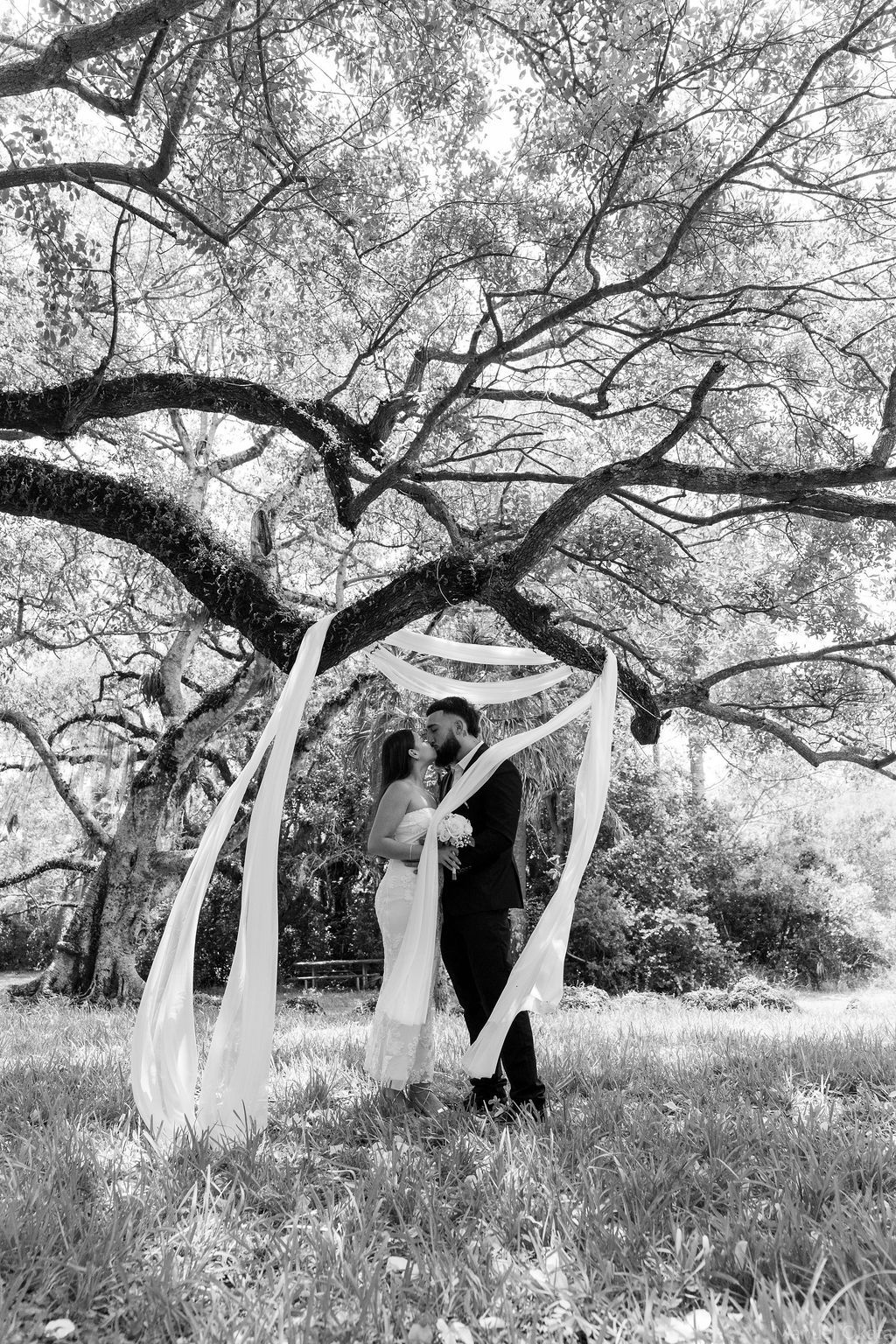 Bride and groom kissing beneath a historic oak tree at Matheson Hammock Park in Miami.
