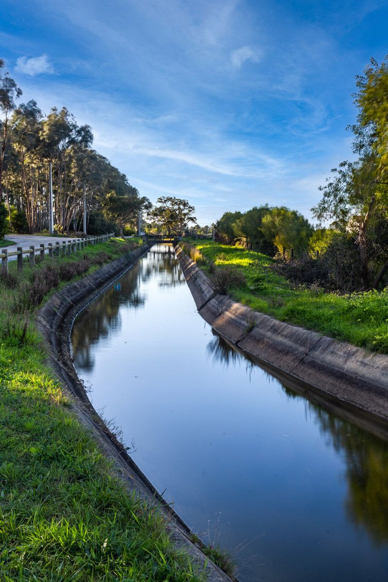 A serene irrigation canal lined with lush green grass and eucalyptus trees reflecting in calm water under a blue sky.