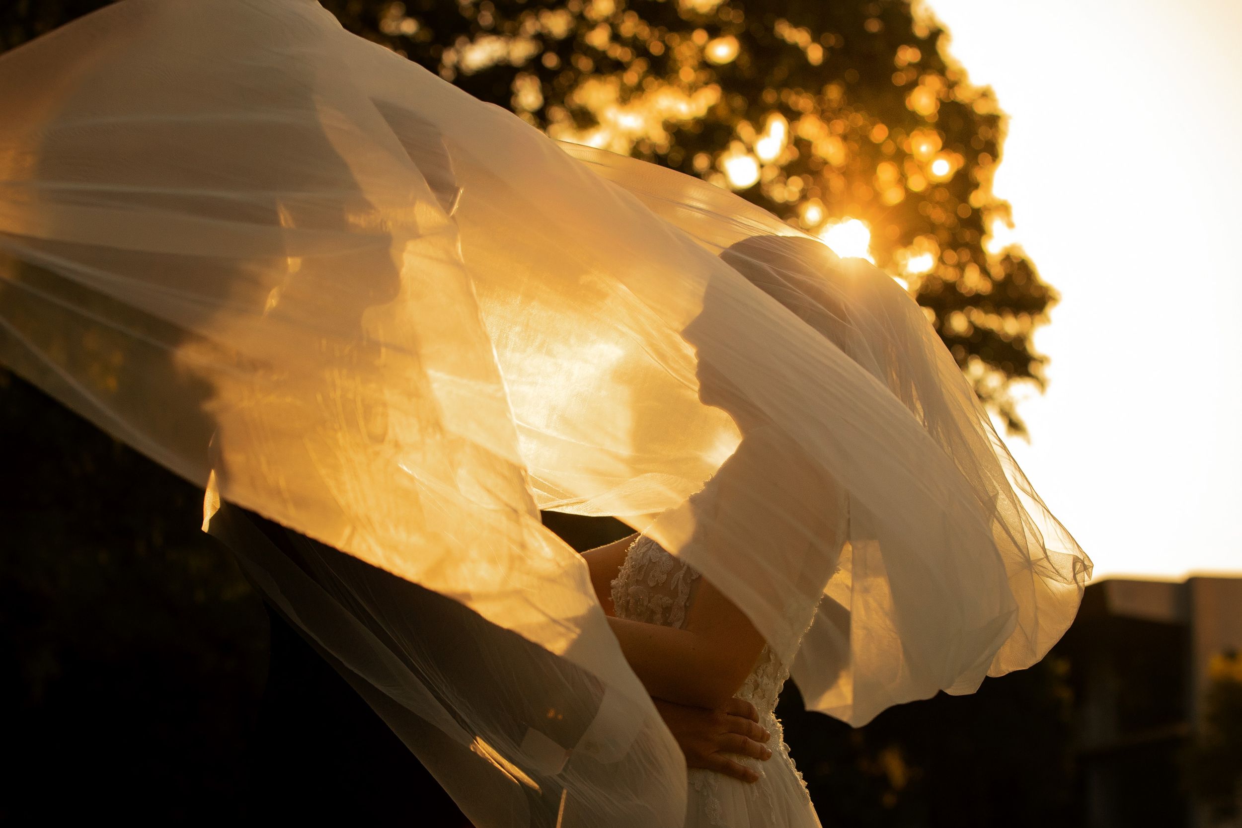 Bride's veil billowing in golden sunset light during romantic outdoor wedding ceremony.