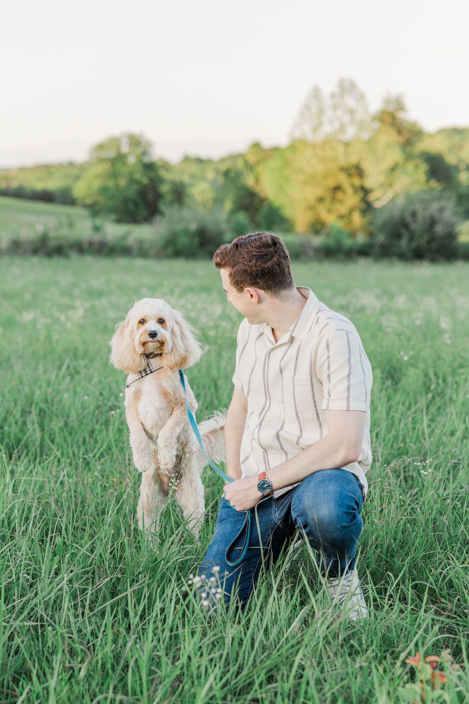 Young man kneeling in green field with fluffy cream Goldendoodle dog on blue leash at sunset.