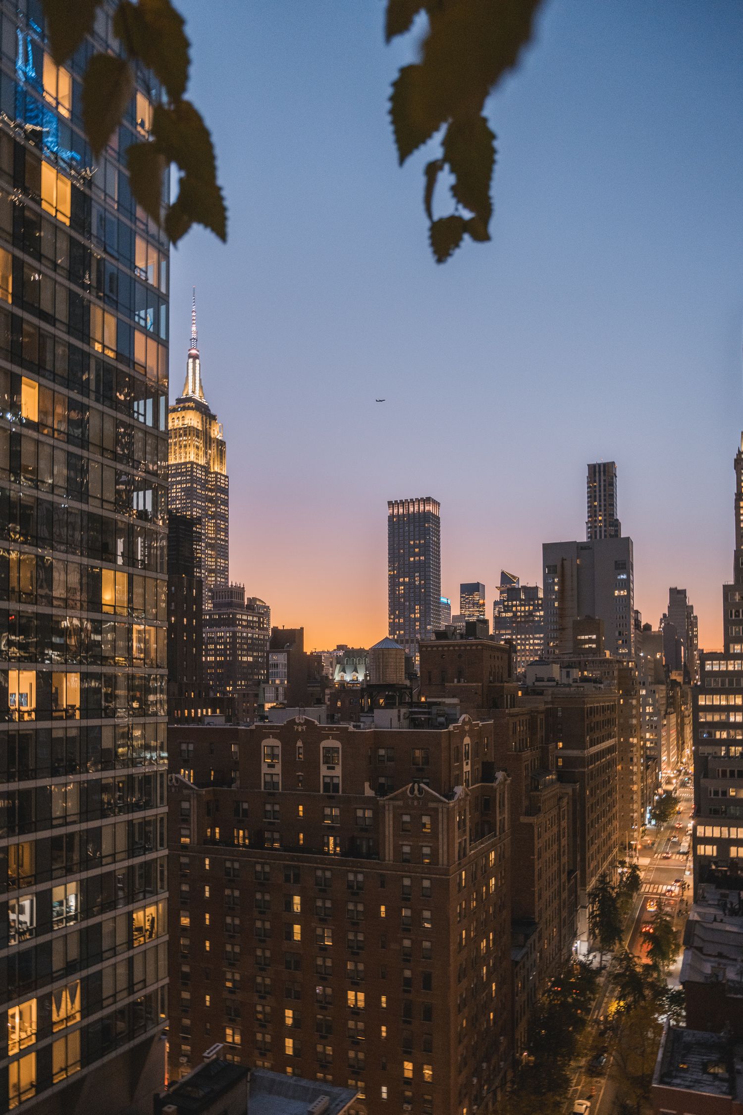 Skyline di Manhattan con l'Empire State Building al tramonto, incorniciato da foglie