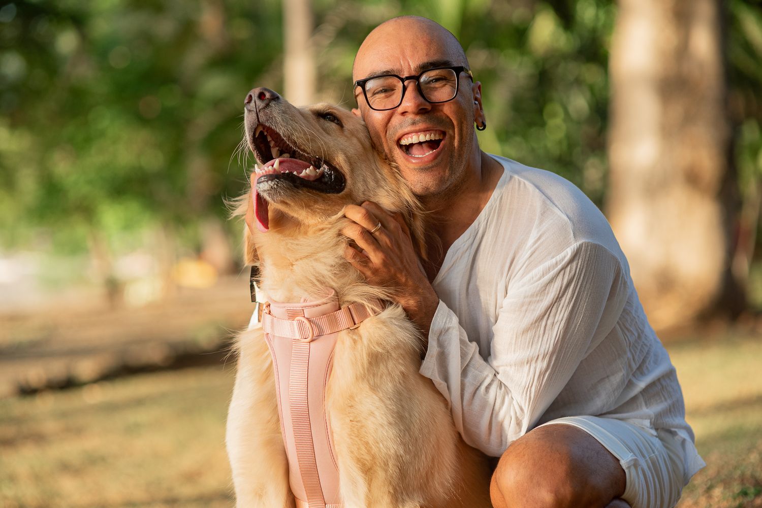 Bald man with glasses laughing joyfully while hugging a golden retriever dog outdoors in a sunny park.