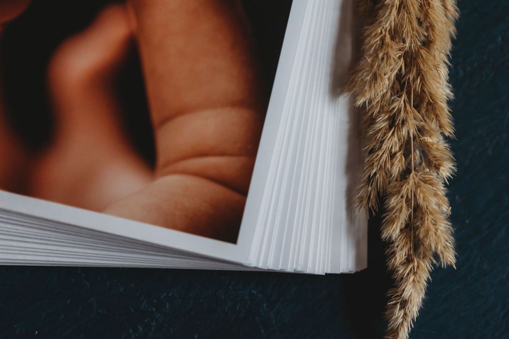 Close-up of book pages with a dried wheat stalk against a dark background.