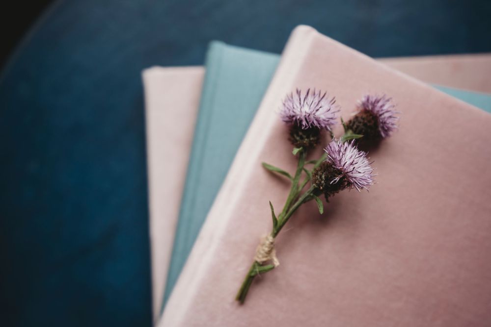 A purple thistle flower rests on pastel-colored books against a dark background.