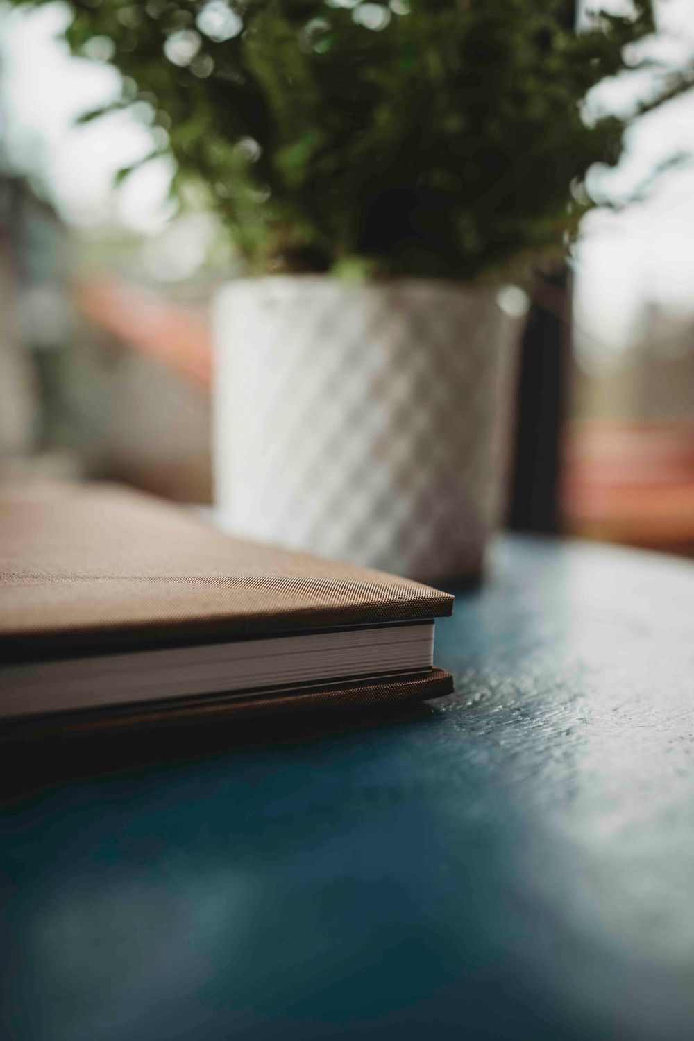 A close-up shot of a book beside a white textured planter with shallow depth of field.