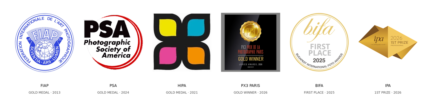 A collection of five award badges including PSA, colorful squares, gold disc, BIFA, and pyramid logos.