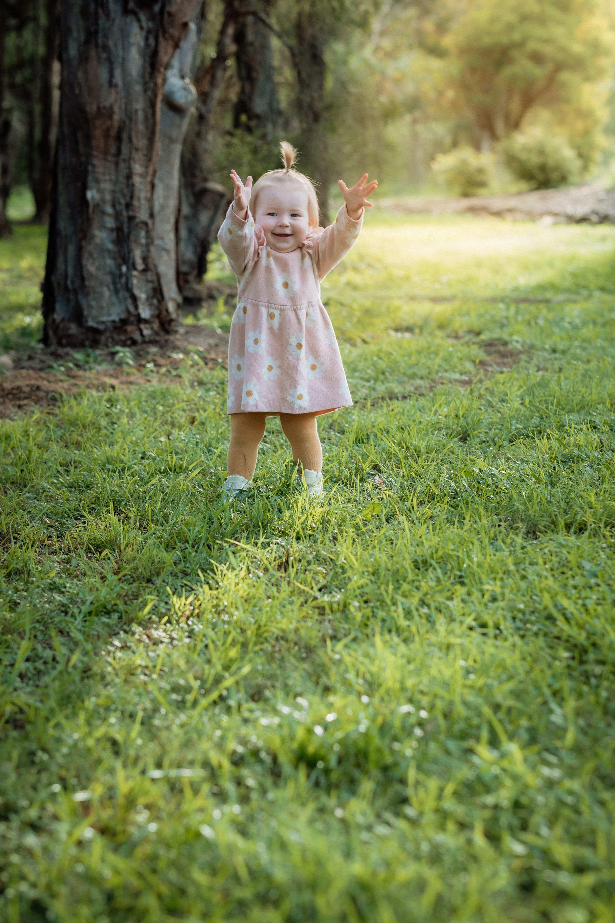 Happy toddler girl in pink dress clapping hands on green grass in sunny park near large tree in a paperbark forest in Beaumont Hills.