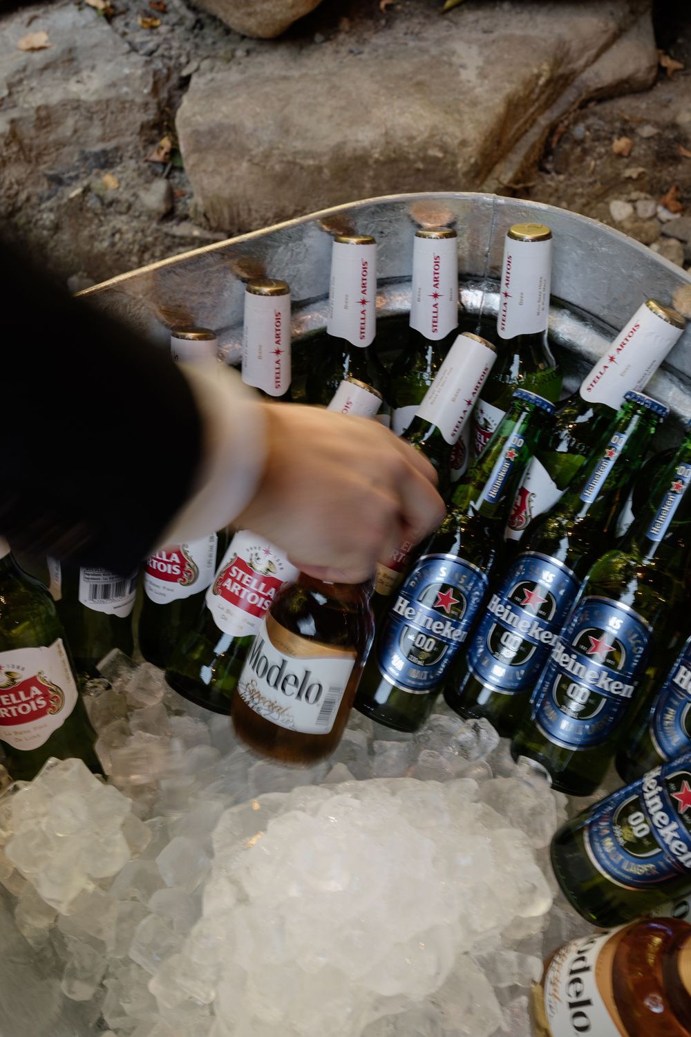 Hand reaching for Modelo beer bottle in ice bucket with Stella Artois and Heineken bottles at outdoor event.