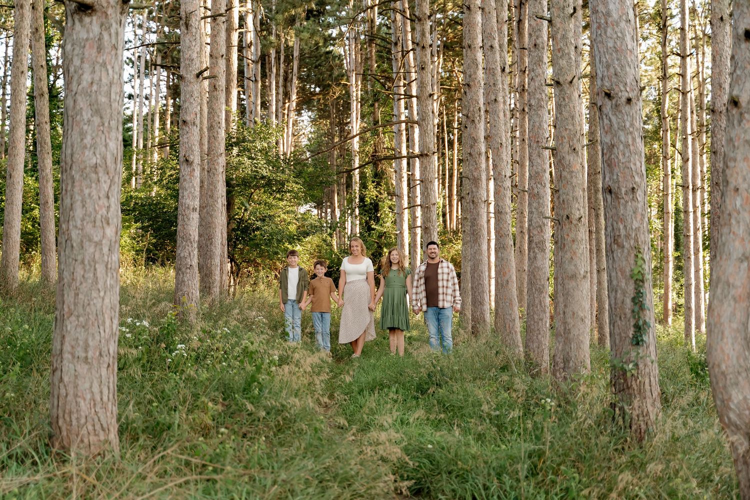 Family of five walking through tall pine forest in golden sunlight, surrounded by lush green undergrowth.