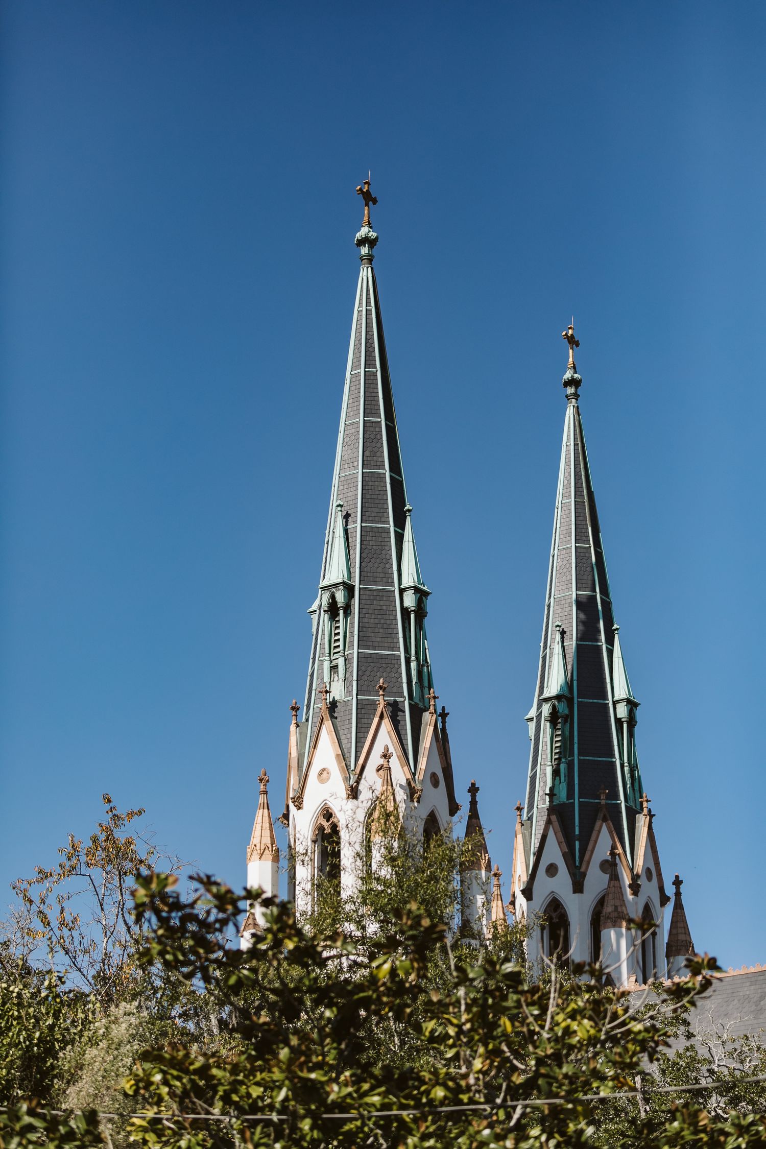 Cathedral of St John the Baptist wedding in Savannah, GA