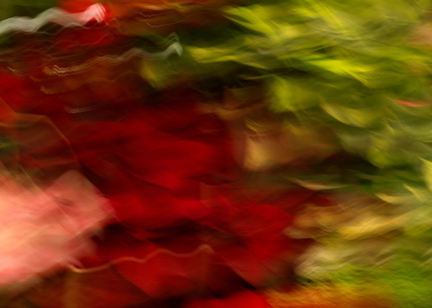 Abstract motion blur art with vibrant red and green colors creating a dreamy, impressionistic natural scene.
