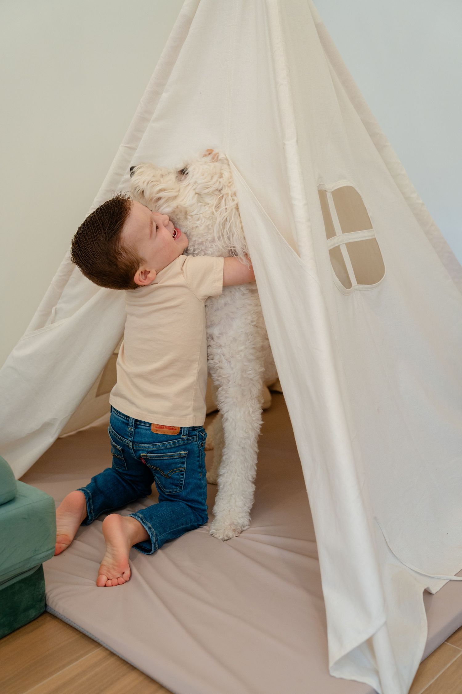 Person holding fluffy white poodle paws on a white bed, showcasing a sweet bonding moment between pet and owner.
