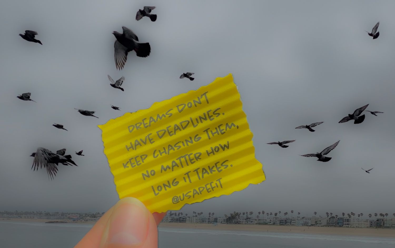 Hand holding yellow note card with motivational quote about deadlines, with birds flying over a beach on a cloudy day.