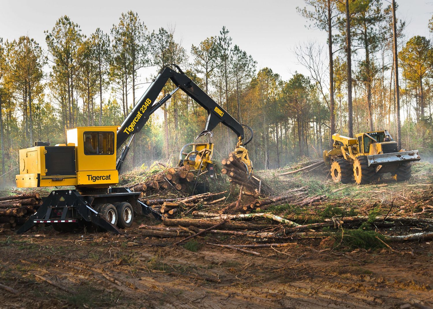 Yellow Tigercat forestry machine clearing trees on a logging site with a dump truck in the background.