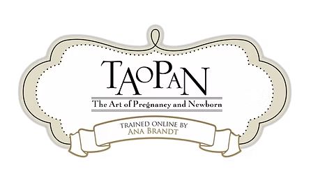 the art of pregnancy and newborn trained by Ana Brandt completion badge 2014