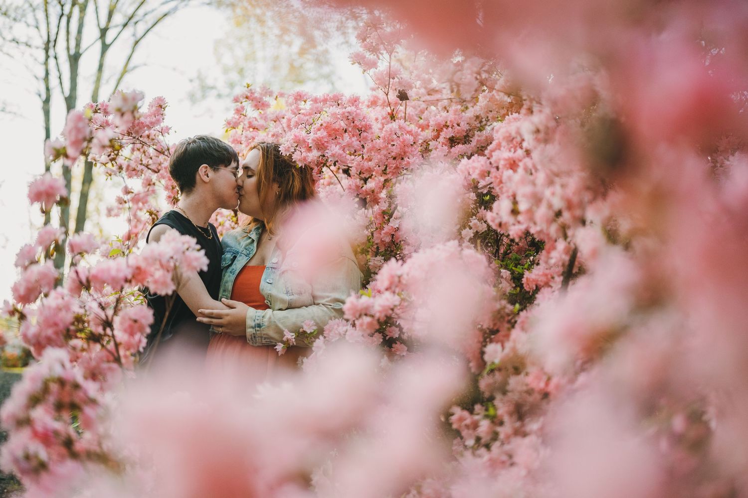 Engagement photos at Brighton Dam Azalea Garden