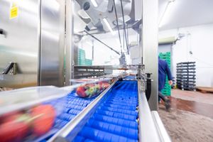 Wide shot of food packing machine in action