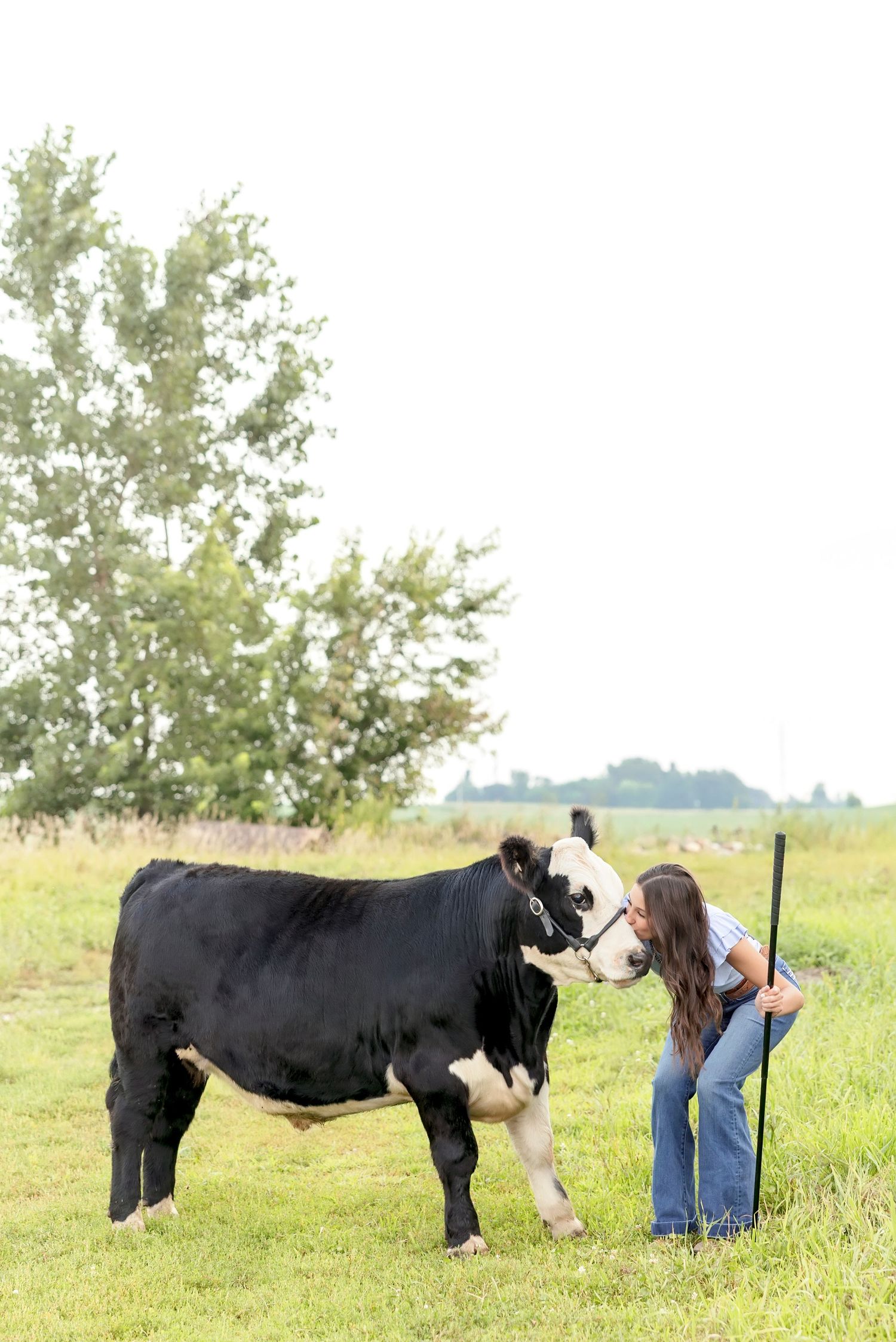 Young woman kissing a black and white cow in a green pasture during an outdoor farm photo session.