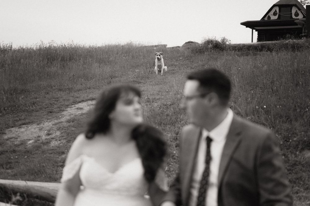 Black and white wedding photo with blurred couple in foreground and a dog standing on a grassy hill behind them.