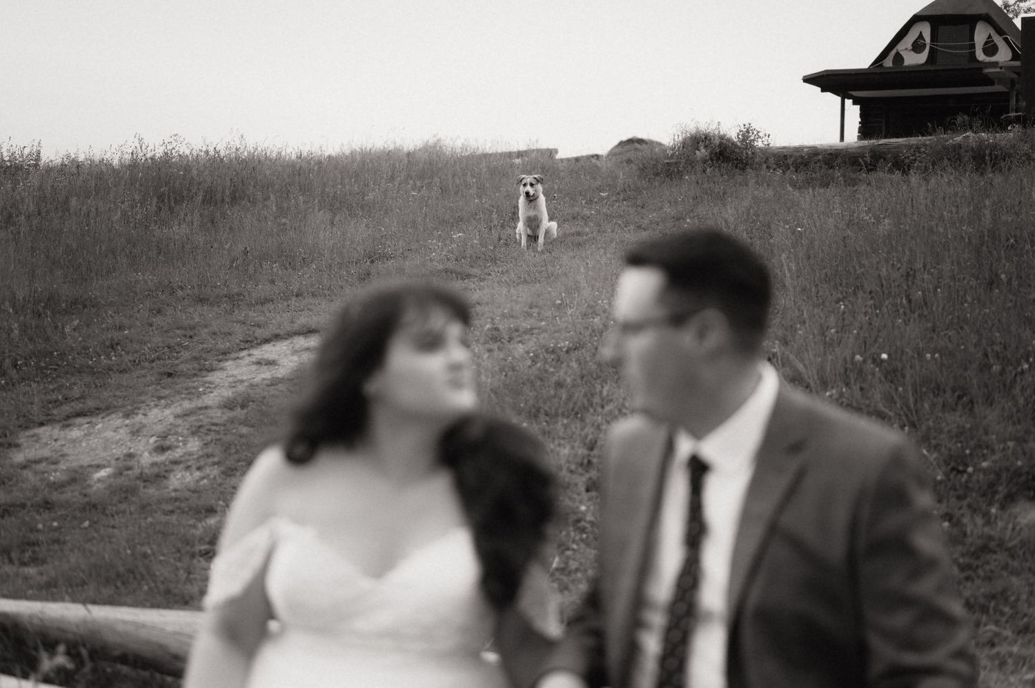 Black and white wedding photo with blurred couple in foreground and a dog standing on a grassy hill behind them.