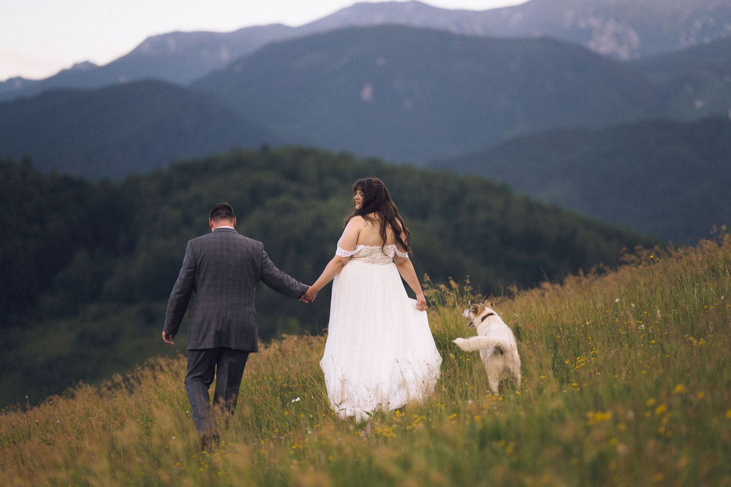 Bride and groom walking hand in hand through a mountain meadow with their white dog on a wedding day.
