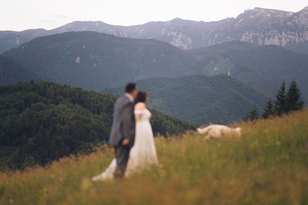 Couple sharing a kiss in a meadow with stunning mountain and forest backdrop on their wedding day.