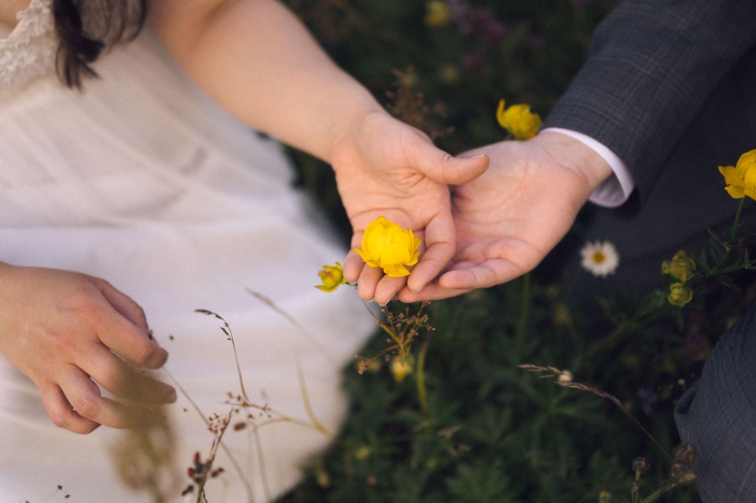 Bride and groom holding a small yellow wildflower together in an outdoor meadow setting.