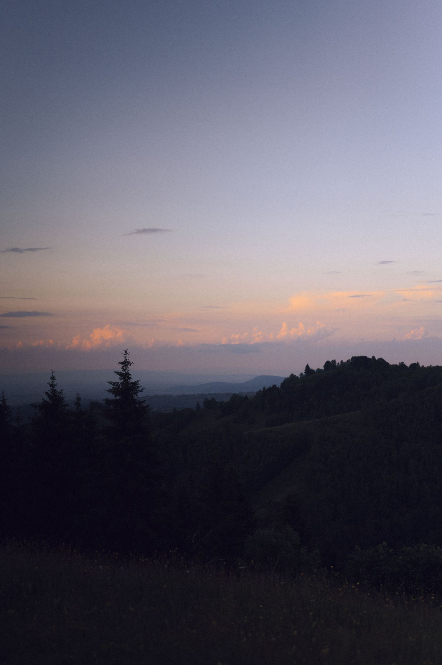 Twilight landscape with silhouetted evergreen trees, rolling hills, and glowing pink clouds on the horizon at dusk.