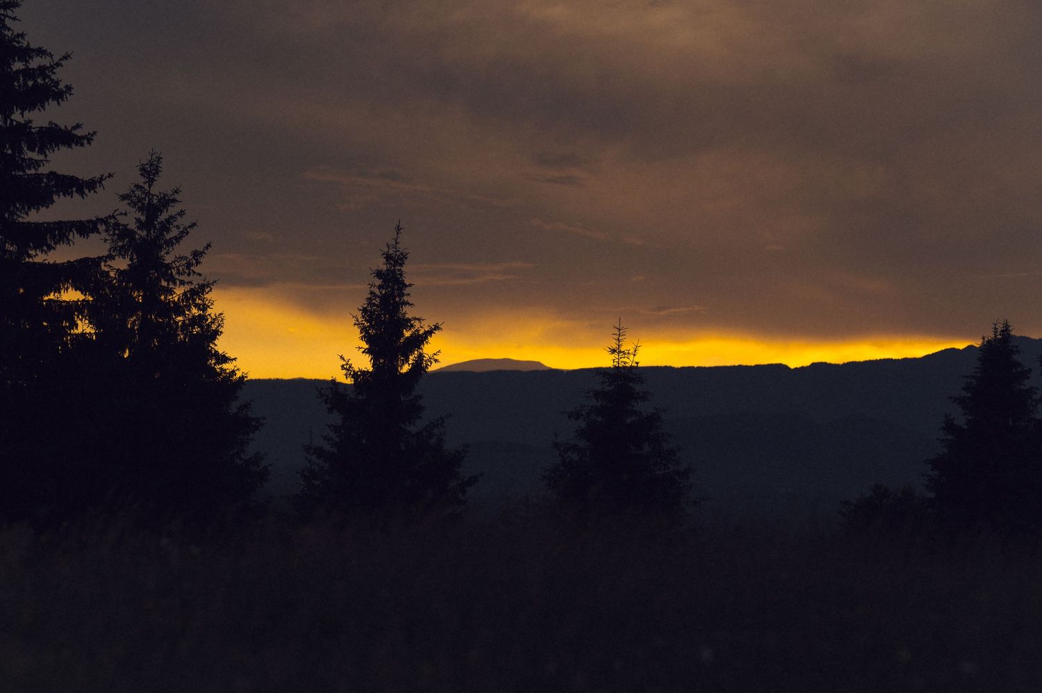 Dramatic sunset silhouettes evergreen trees against glowing golden horizon with dark storm clouds in a moody mountain landscape.