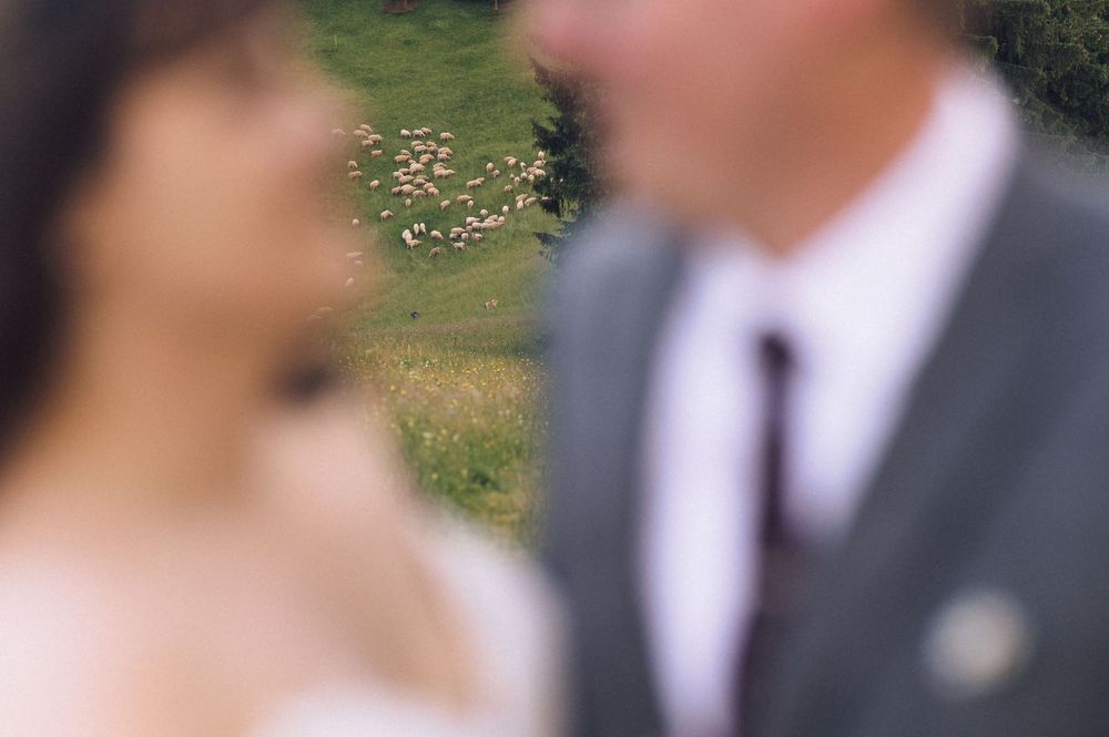 Blurred wedding couple in foreground with a flock of sheep grazing on a green hillside in the background.