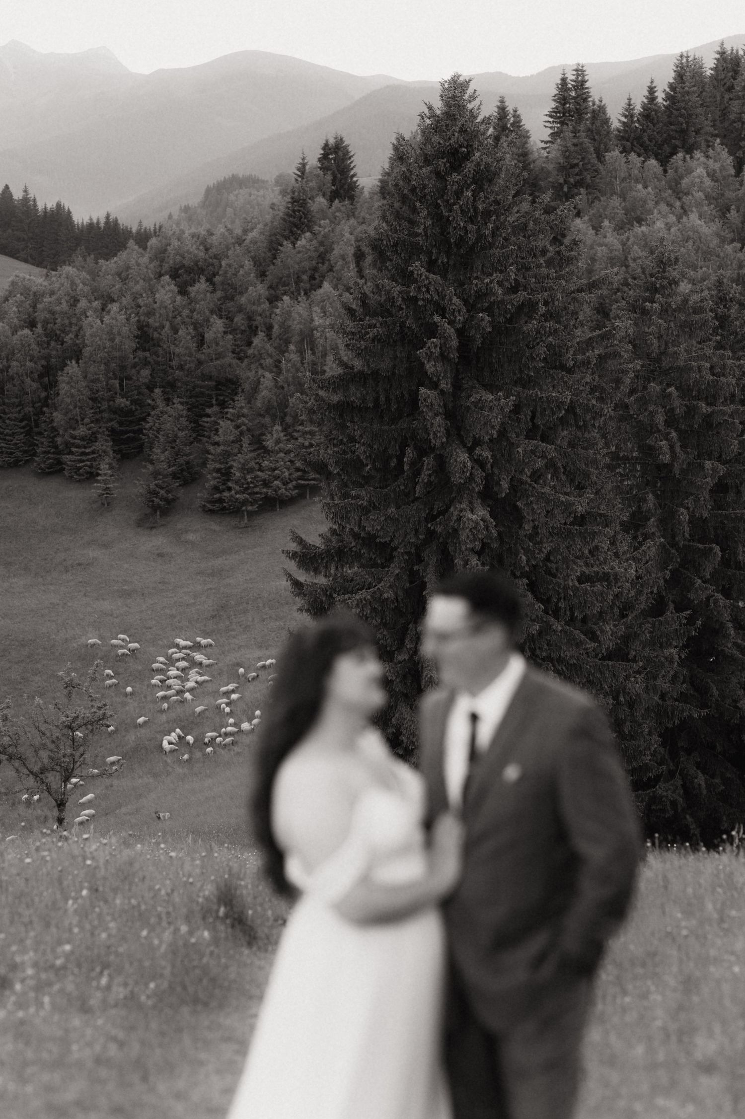 Black and white photo of a couple embracing in a mountain meadow with evergreen forest and peaks in the background.