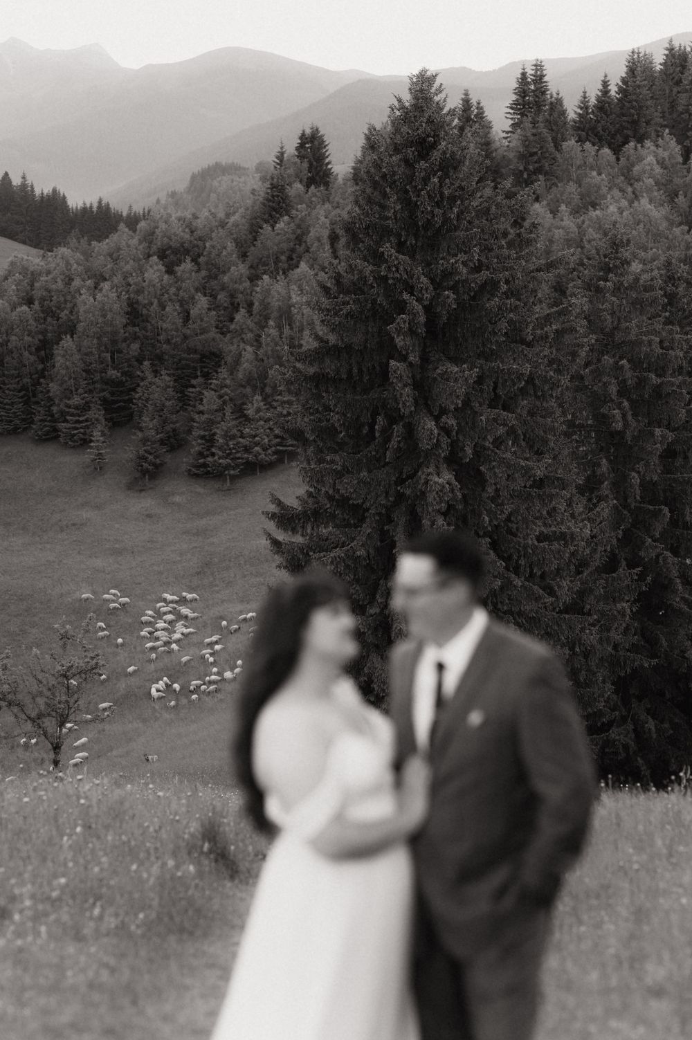 Black and white photo of a couple embracing in a mountain meadow with evergreen forest and peaks in the background.