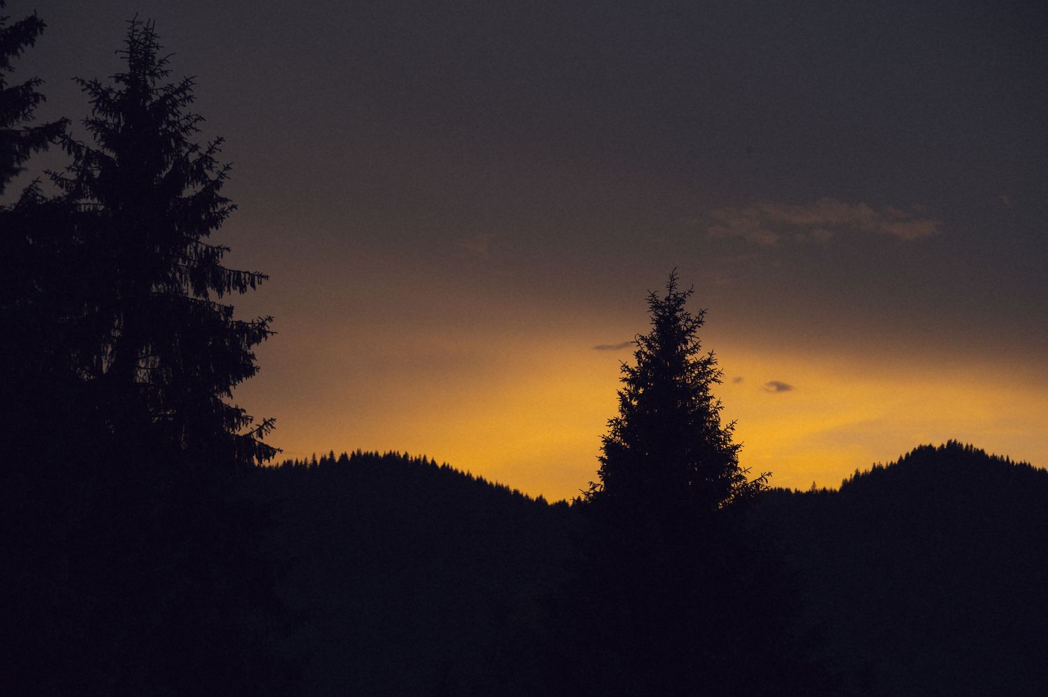 Silhouette of pine trees and mountains against a vibrant orange and yellow sunset sky at dusk.