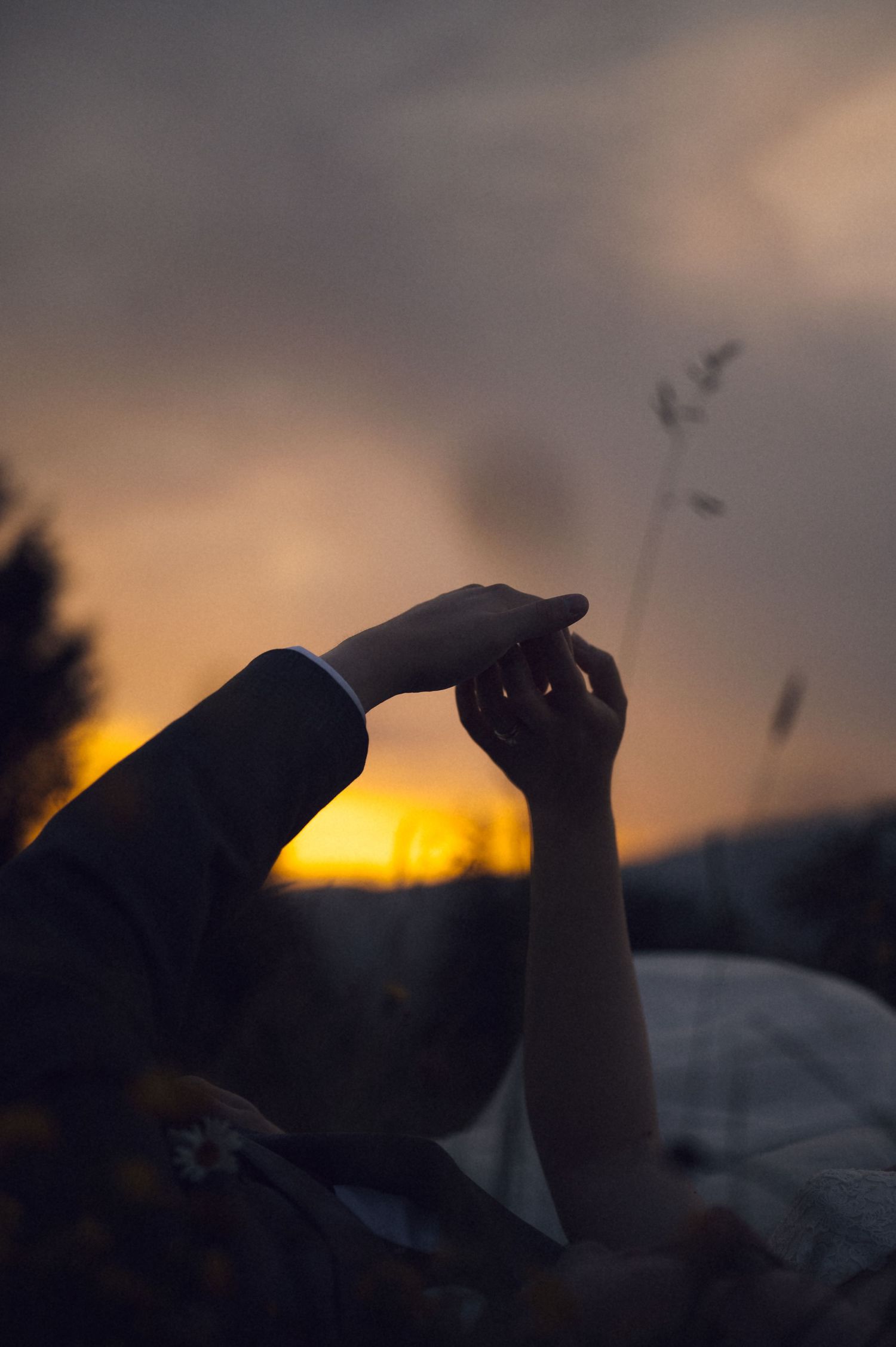 Two hands gently touching against a dramatic golden sunset sky with silhouetted trees and wild grass.