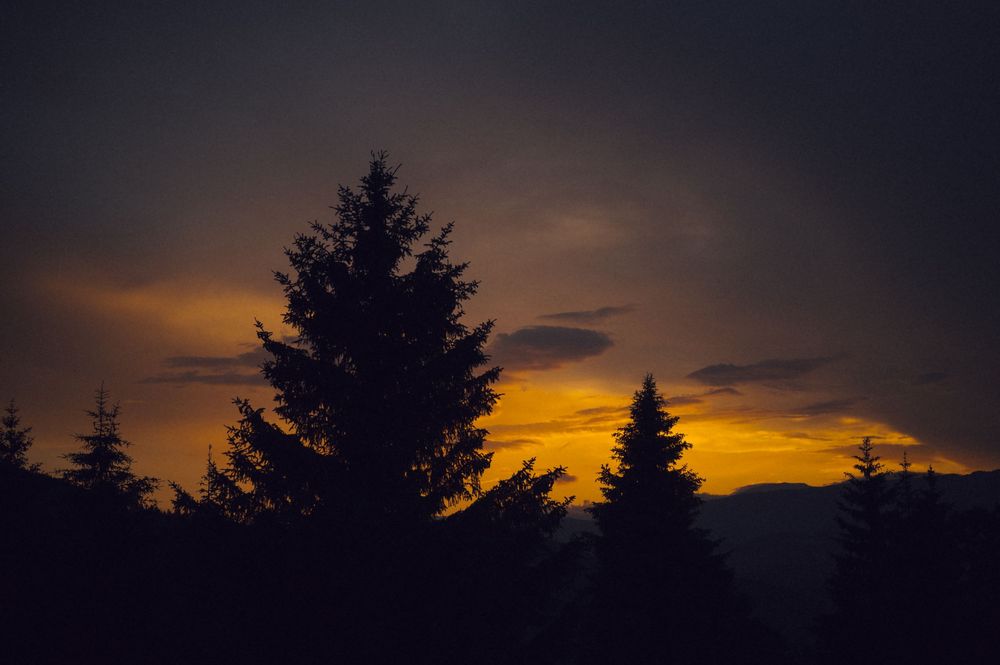 Silhouettes of tall evergreen trees against a vibrant orange and yellow sunset sky with dramatic dark clouds.