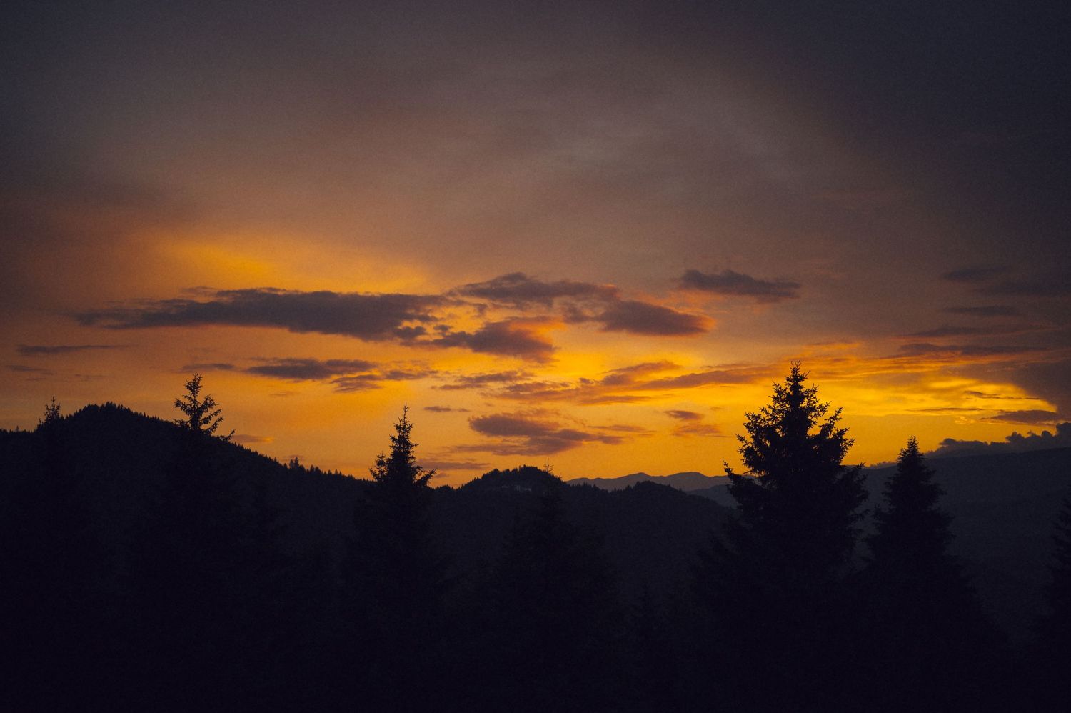 Silhouette of pine trees and mountains against a vibrant orange and yellow sunset sky with dramatic clouds.