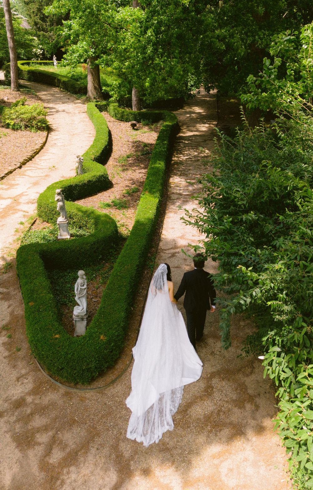 Bride and groom walk hand-in-hand through elegant garden with manicured hedges, white veil trailing behind.