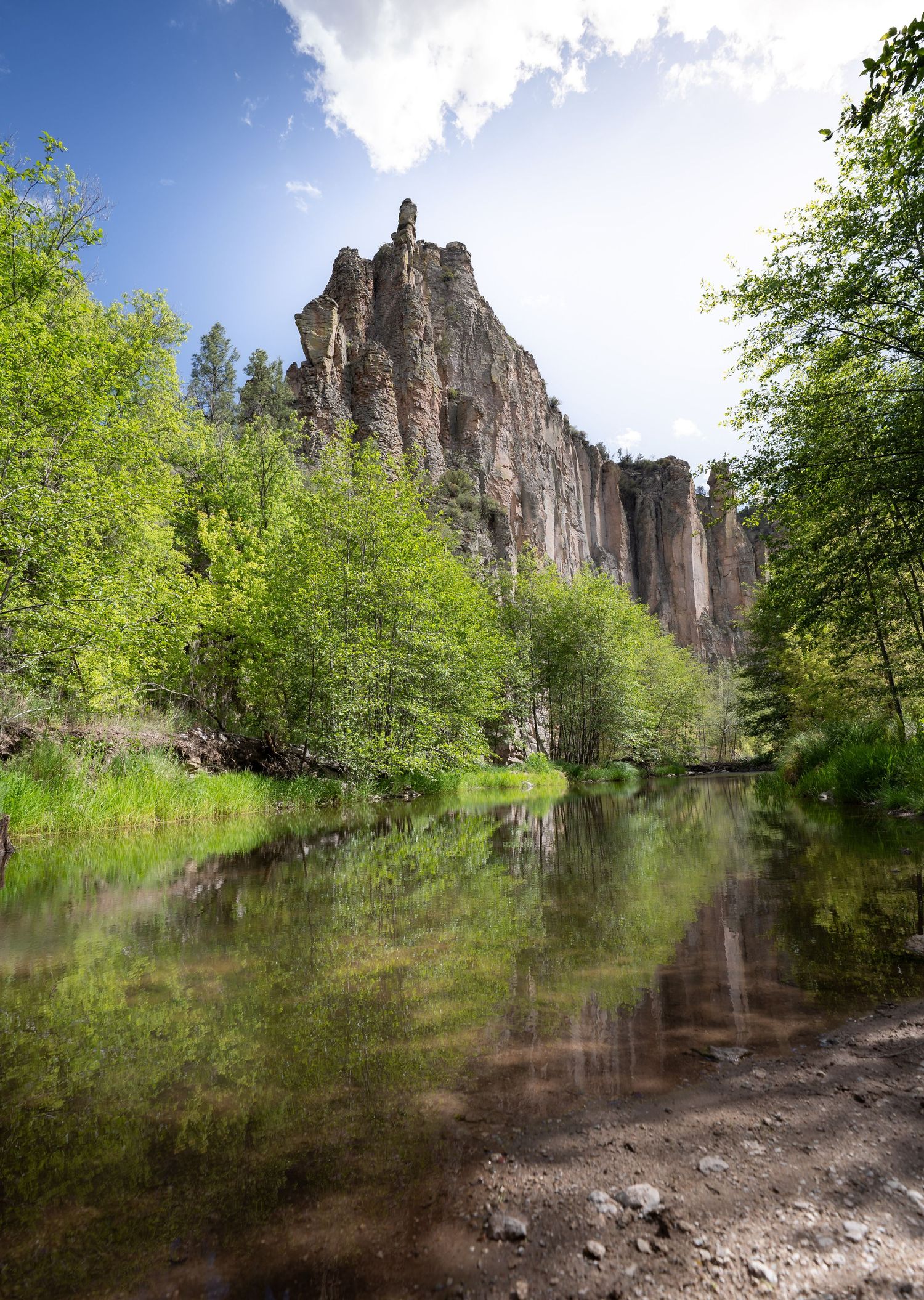 A creek reflection in Gila National Forest, NM.