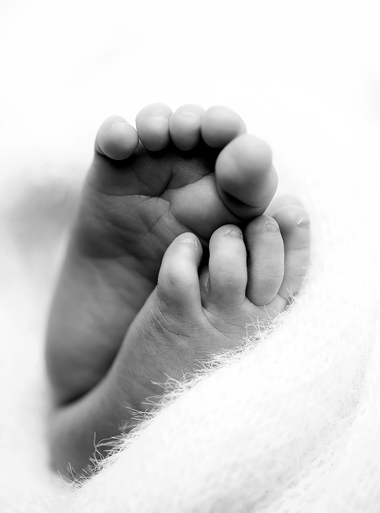 Close-up black and white photo of a newborn baby's tiny feet resting on a soft white blanket. During a newborn session in South East London