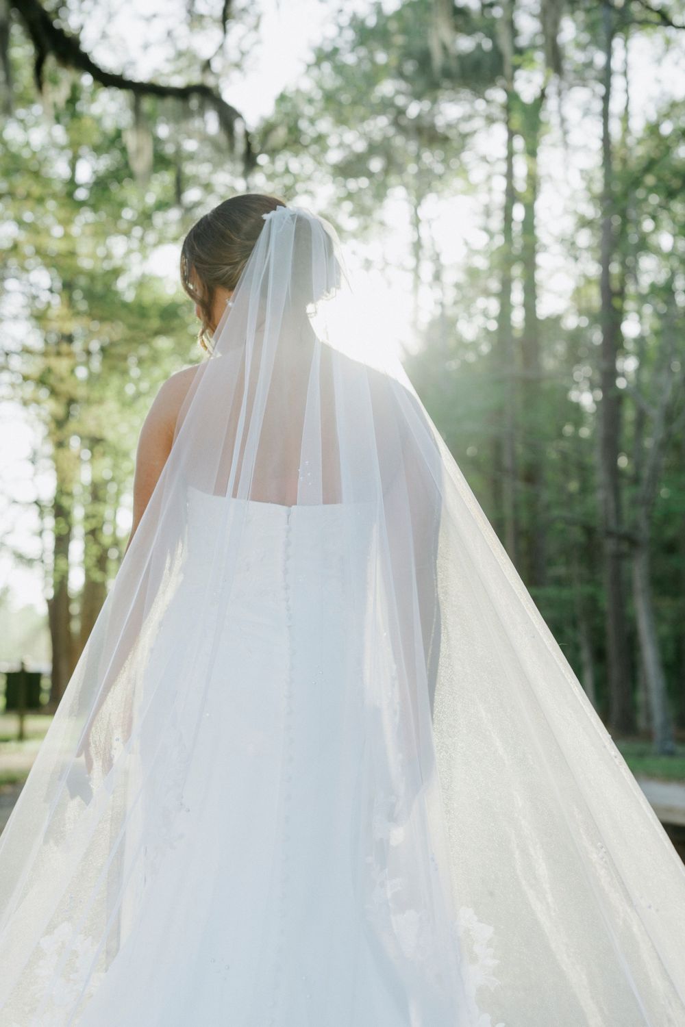 Bride in white gown and long lace veil standing among tall trees with sunlight glowing behind her.