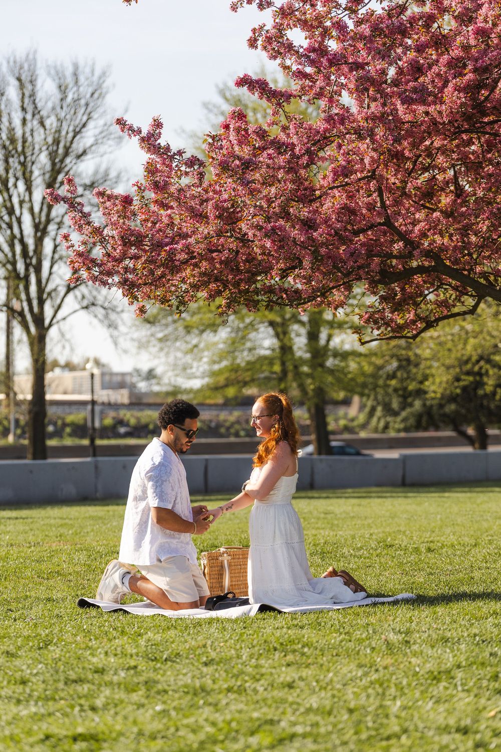 Couple sharing a romantic picnic on green grass under a blooming pink cherry blossom tree on a sunny day.
