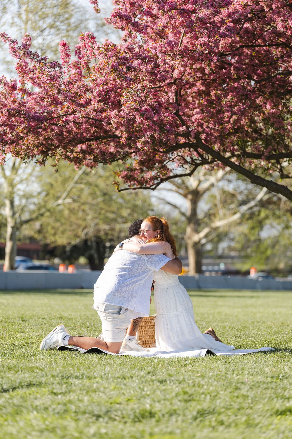 Couple embracing on a blanket under a blooming pink cherry blossom tree in a sunny green park.