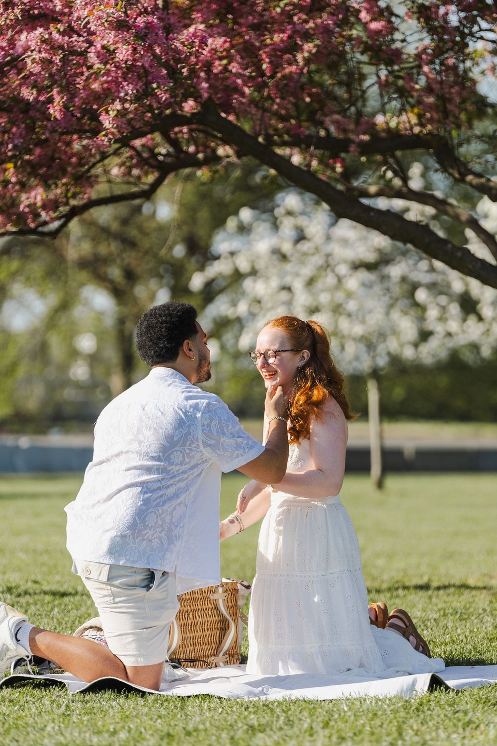 Couple sharing a romantic picnic under blooming cherry blossom tree on green grass in spring sunshine.