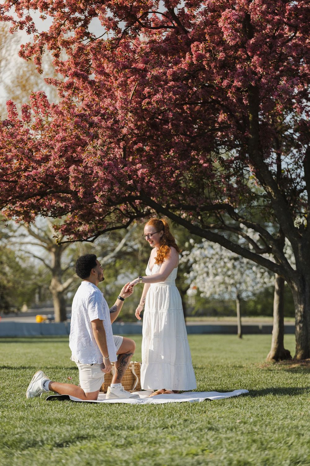 Man proposes to woman in white dress under blooming pink cherry blossom tree during romantic park picnic.