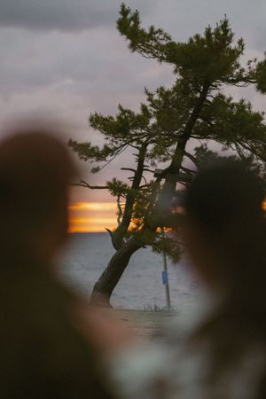 Scenic sunset view framed by silhouettes with a leaning pine tree by the water.