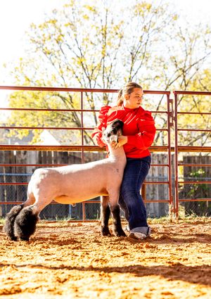 Young girl in red jacket showing a white lamb at an outdoor livestock competition on red dirt.