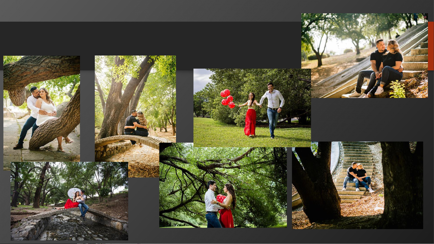 Family outdoor photo session featuring couples and children posing among large trees in a lush green park setting.