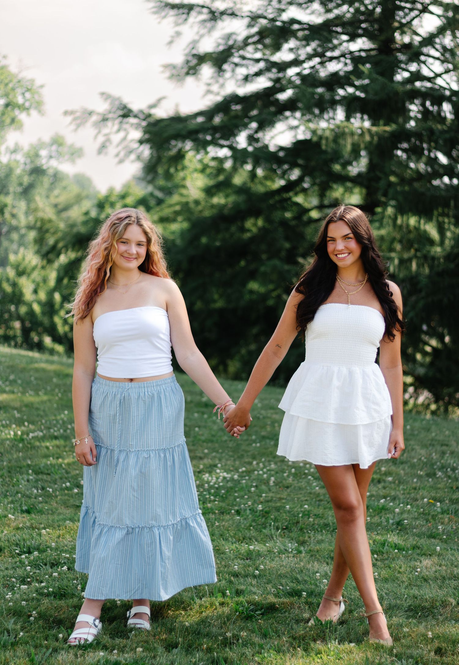 High school senior graduation portrait session in Canton, Ohio, by natural light photographer Desirée Meschell.