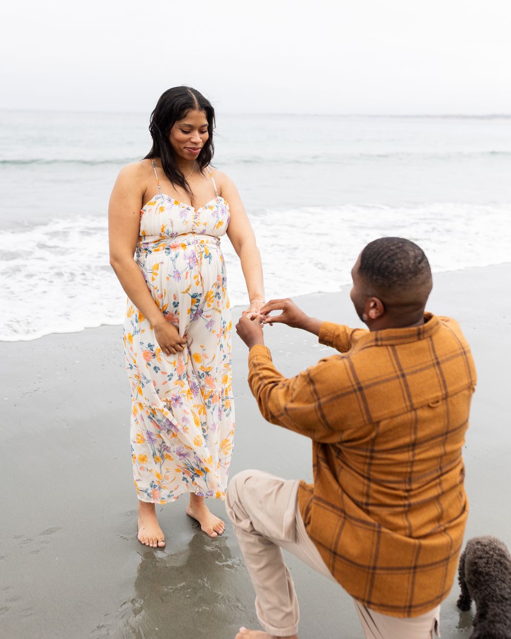 Man proposing to pregnant woman in floral dress on beach, waves in background, with small dog nearby.