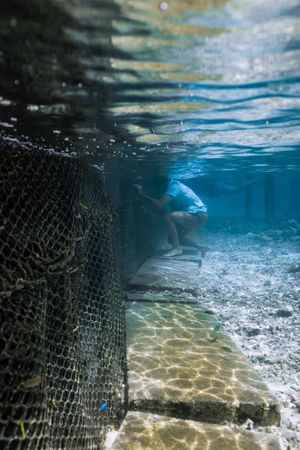 Underwater view of a person working near a fish net enclosure on a sandy ocean floor in clear blue water.